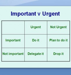 important-v-urgent-completed1