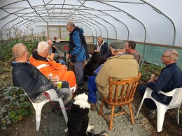 Thursday lunch polytunnel